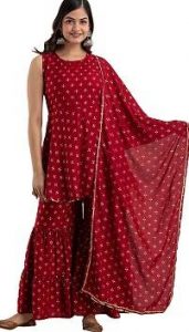 Shirtwalas Jaipuri Rajasthani Plazzo Dress