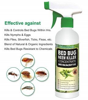 Green Dragons Bed Bug Killer