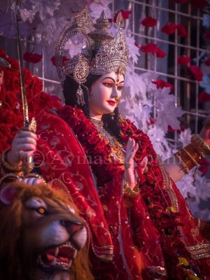 Maa Durga New Pictures (2)