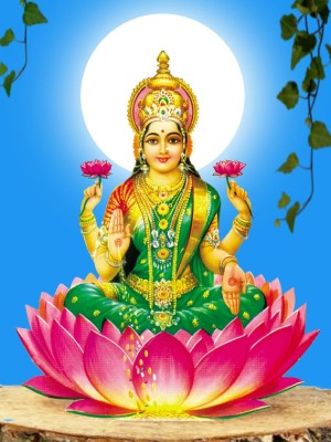 Maha Lakshmi Goddess Images (5)