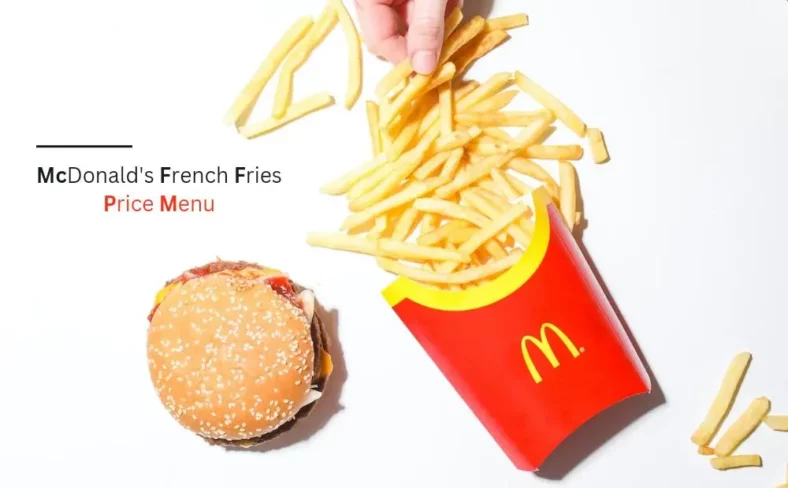 McDonald's French Fries Price In India 2023 (Full Menu)