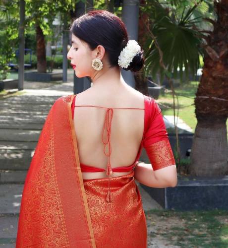 Back Neck Silk Saree Blouse Designs (1)